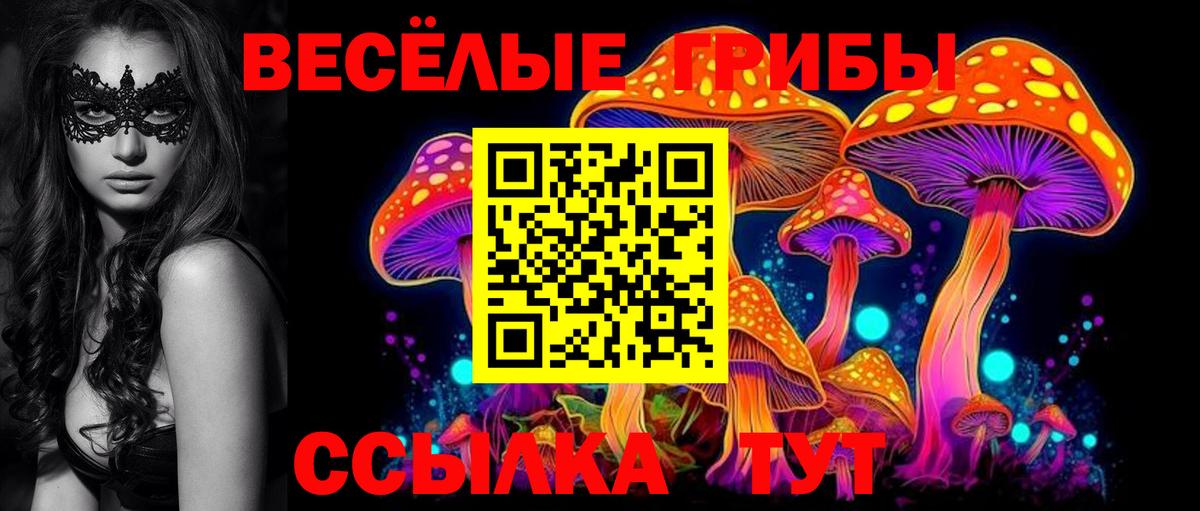 Псилоцибиновые грибы прущие грибы  Вход с VPN  где купить наркоту  Камышлов  Галлюциногенные грибы мухоморы 