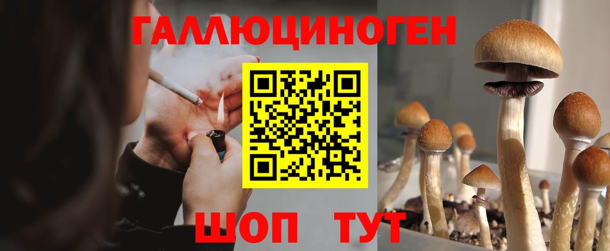 Псилоцибиновые грибы GOLDEN TEACHER Камышлов